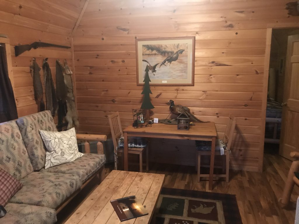 Cabin 3